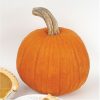 New England Pie - Organic Pumpkin Seed