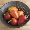 Antohi Romanian - Organic Pepper Seed