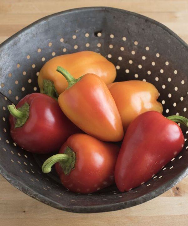 Antohi Romanian - Organic Pepper Seed