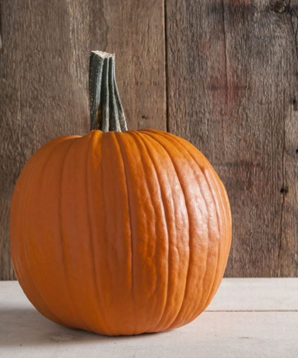 Tom Fox - Organic Pumpkin Seed