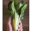 Barese - Swiss Chard Seed