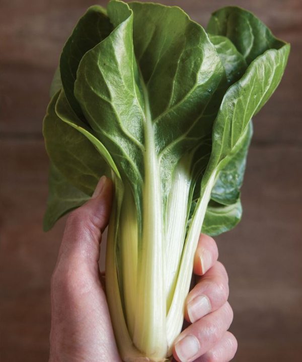 Barese - Swiss Chard Seed
