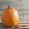 Howden - Pumpkin Seed
