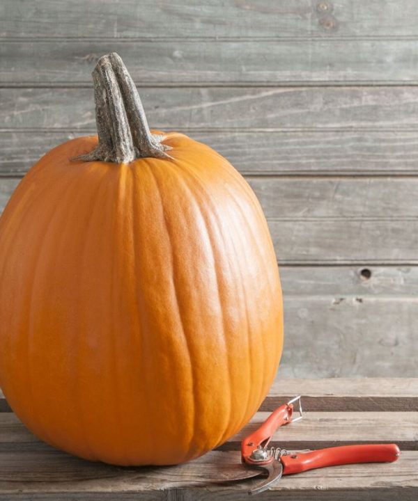 Howden - Pumpkin Seed
