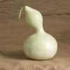 Bottle or Birdhouse - Gourd Seed