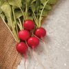 Sora - Organic Radish Seed