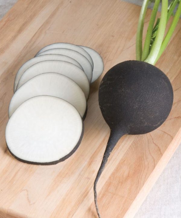 Nero Tondo - Black Radish Seeds