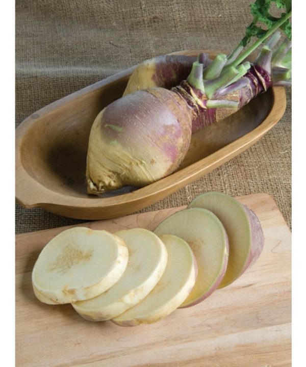 Laurentian - Rutabaga Seed