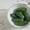 Jackson Supreme - (F1) Cucumber Seed