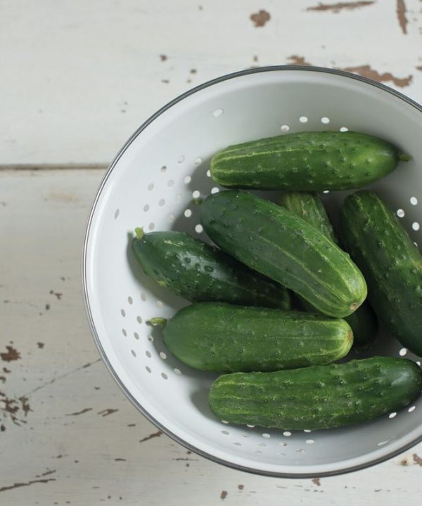 Jackson Supreme - (F1) Cucumber Seed