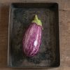 Nubia - (F1) Eggplant Seed