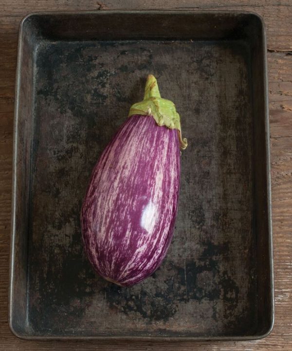 Nubia - (F1) Eggplant Seed