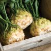 Mars - Organic Celeriac Seed