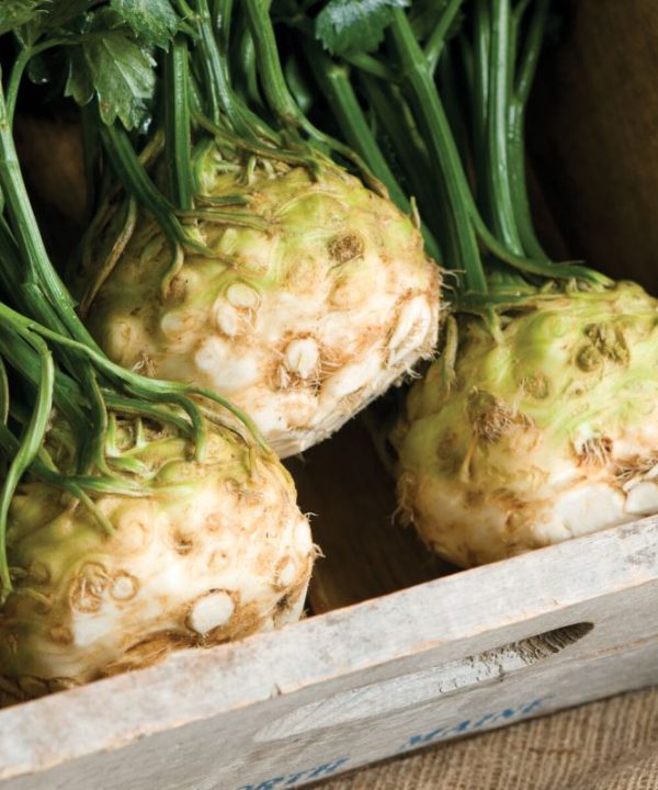 Mars - Organic Celeriac Seed