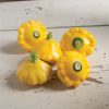Sunburst - (F1) Patty Pan Squash Seed