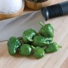 Padron - Organic Padron Pepper Seed