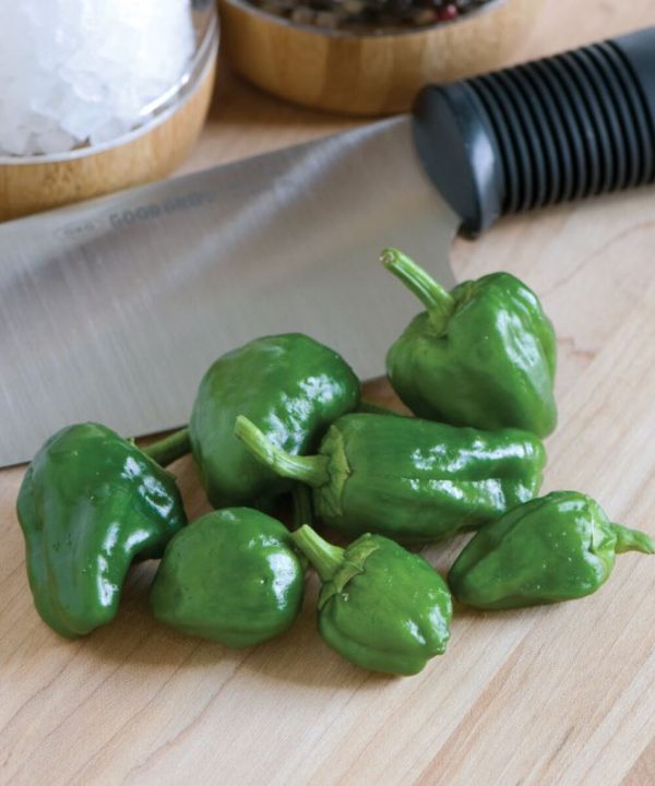 Padron - Organic Padron Pepper Seed