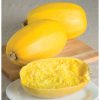 Spaghetti Squash - Vegetable Seed