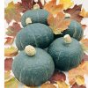Black Forest - Organic Kabocha Squash Seed