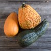Lunch Lady - Gourd Seed