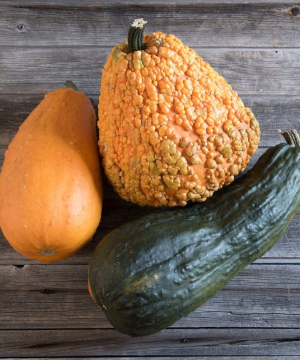 Lunch Lady - Gourd Seed