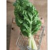 Fordhook Giant - Swiss Chard Seed