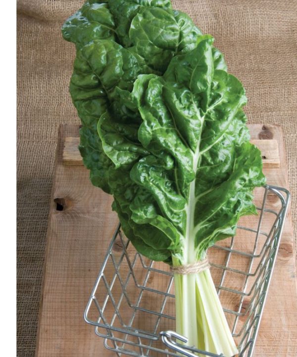 Fordhook Giant - Swiss Chard Seed