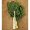 Fordhook Giant - Organic Swiss Chard Seed
