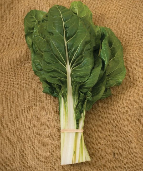 Fordhook Giant - Organic Swiss Chard Seed