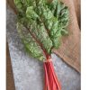 Ruby Red or Rhubarb Chard Seed