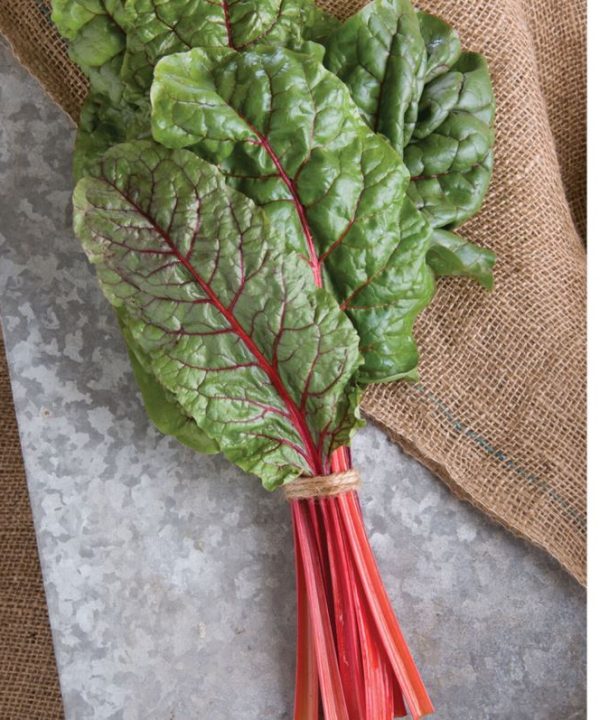 Ruby Red or Rhubarb Chard Seed