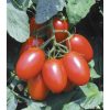 Juliet - (F1) Tomato Seed