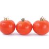 Oregon Spring - Organic Tomato Seed