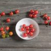 Matt's Wild Cherry - Tomato Seed