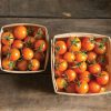 Sungold Tomato Seeds