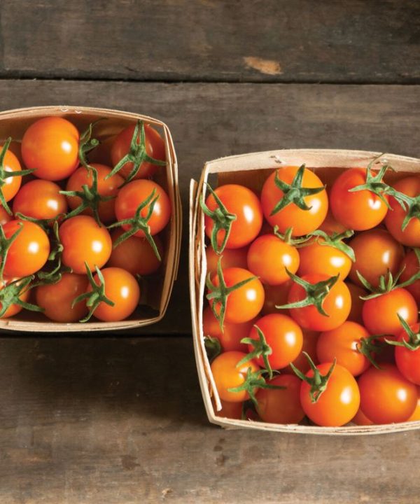 Sungold Tomato Seeds