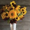 Johnny's Sunflower Collection - Seed