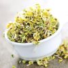 Alfalfa Sprouting Seeds