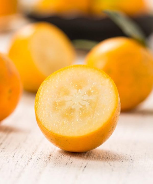 Authentic Sugar Orange Kumquat Citrus Fruit Wholesale Seeds