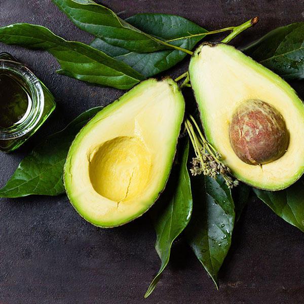 Avocado Seeds Persea Americana Mill Pear Seed DIY Healthy Fruit