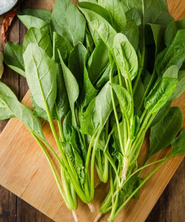 Bamboo leaf spinach Seeds selling organic vegetable Seeds