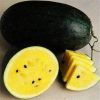 Black Orange Watermelon Yellow Meat Watermelon Courtyard Balcony