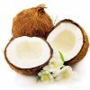 Coconut Tree Seeds Perennial Bonsai Juicy Fruit Plants
