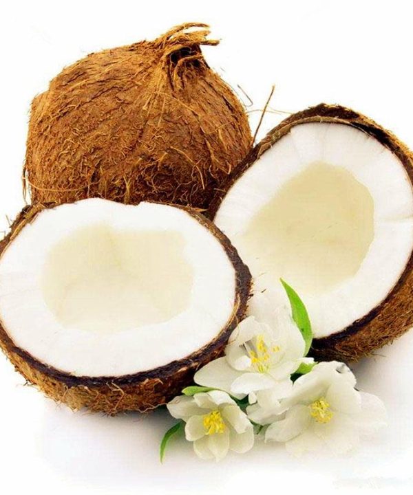 Coconut Tree Seeds Perennial Bonsai Juicy Fruit Plants