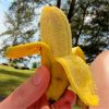 Dwarf Banana Seeds Tropical Fruit Seeds Outdoor for Home Plantin