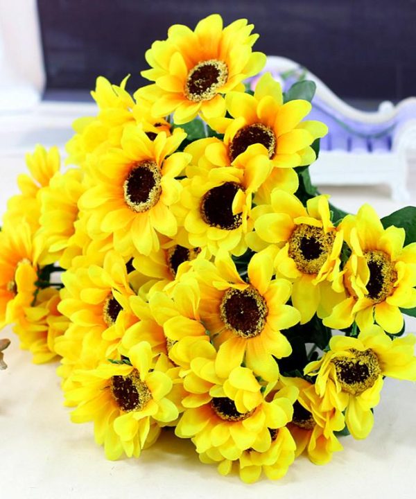 Four seasons broadcast viewing balcony pots of dwarf sunflower seeds