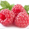 Giant Red Raspberry bonsais Seeds Garden Fruit Plant
