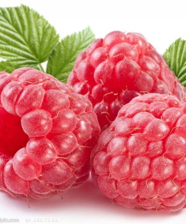 Giant Red Raspberry bonsais Seeds Garden Fruit Plant