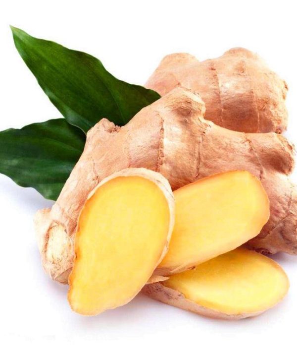Ginger Seeds Balcony Vegetables Potted Bonsai Plant Seeds