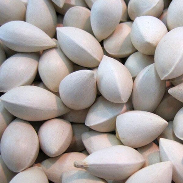 Ginkgo Biloba Seeds Strong Adaptability Garden Fruit Tree